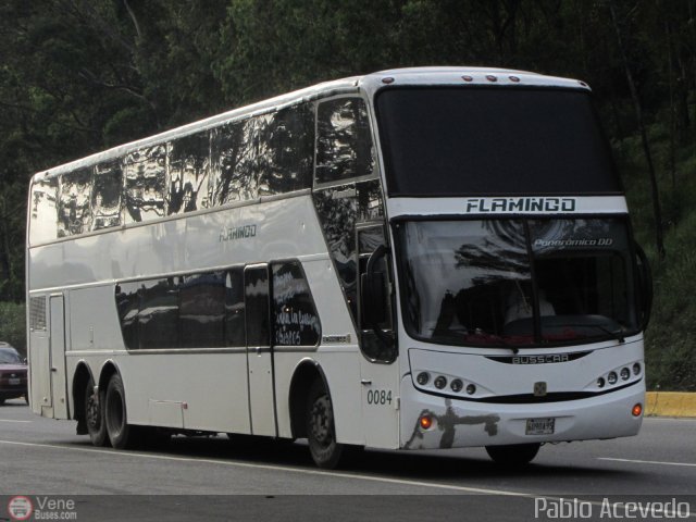 Expresos Flamingo 0084 por Pablo Acevedo