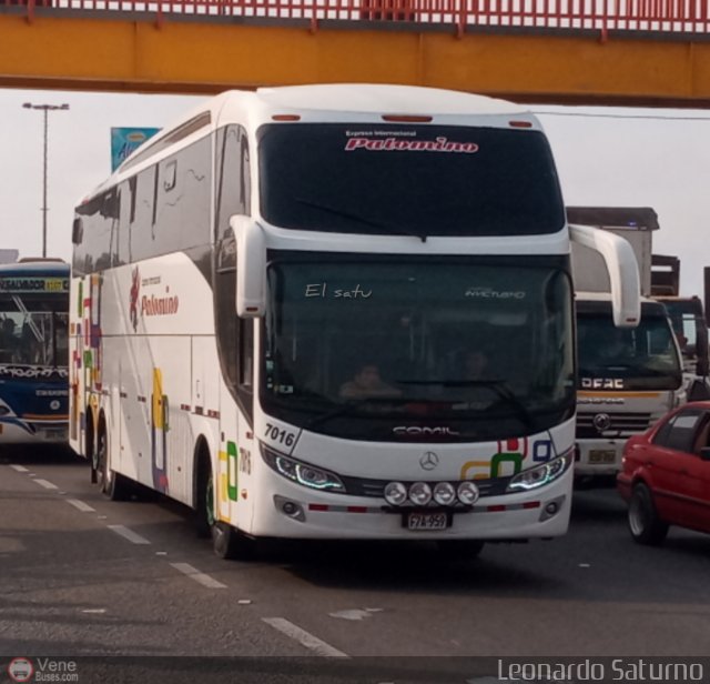 Expreso Internacional Palomino 7016 por Leonardo Saturno