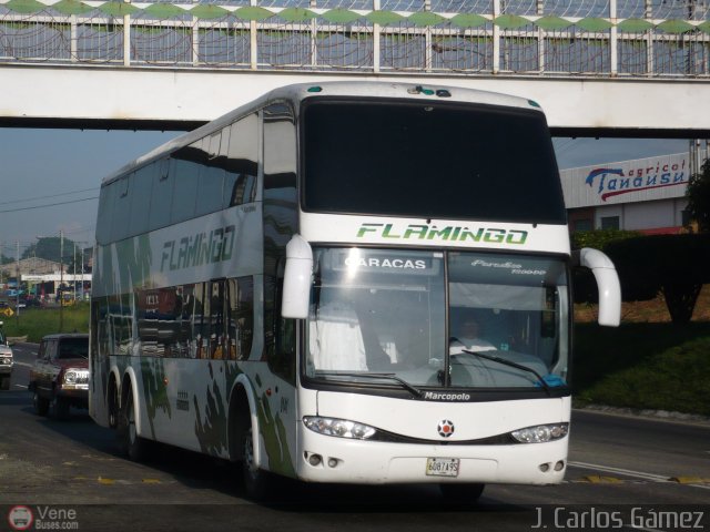 Expresos Flamingo 0141 por J. Carlos G�mez