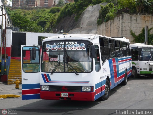 Expresos Pegamar 0016 por J. Carlos G�mez