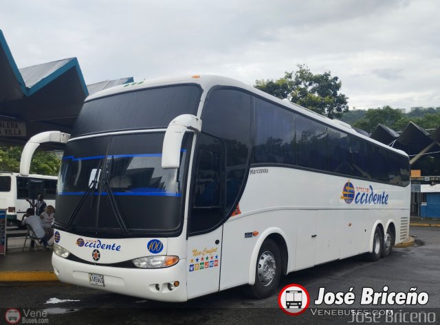 Expresos Occidente 100  por Jos� Brice�o