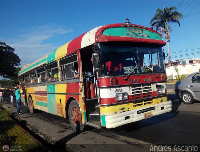 Transporte Colectivo Palo Negro 043 por Andrs Ascanio