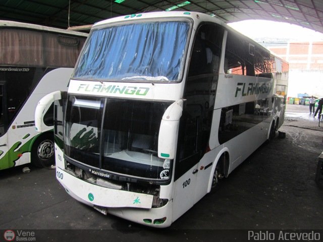 Expresos Flamingo 0100 por Pablo Acevedo