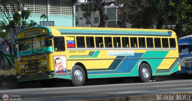 Transporte Panamericano 04 por Waldir Mata