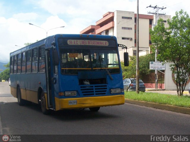 TA - A.C. Lnea Intercomunal 56 por Freddy Salas