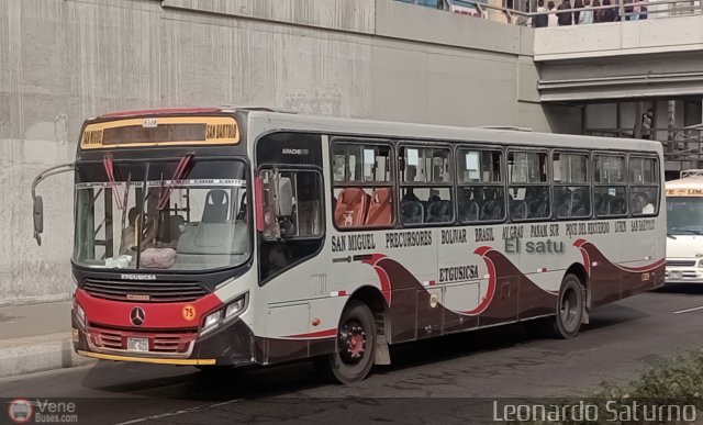 E.T. y Servicios Guadulfo Silva Carbajal 075 por Leonardo Saturno