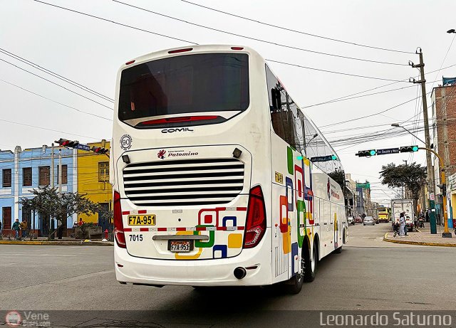 Expreso Internacional Palomino 7015 por Leonardo Saturno