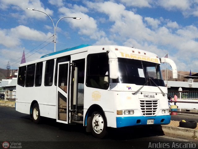 A.C. de Transporte Sol de Tamanaco 29 por Andrs Ascanio