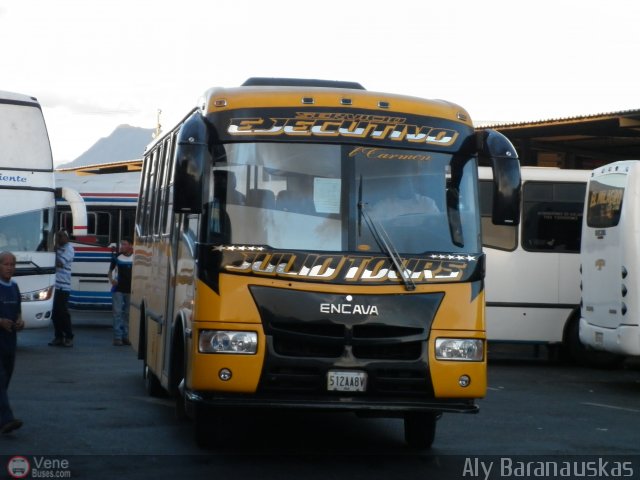 Transporte Virgen del Carmen 30 por Aly Baranauskas