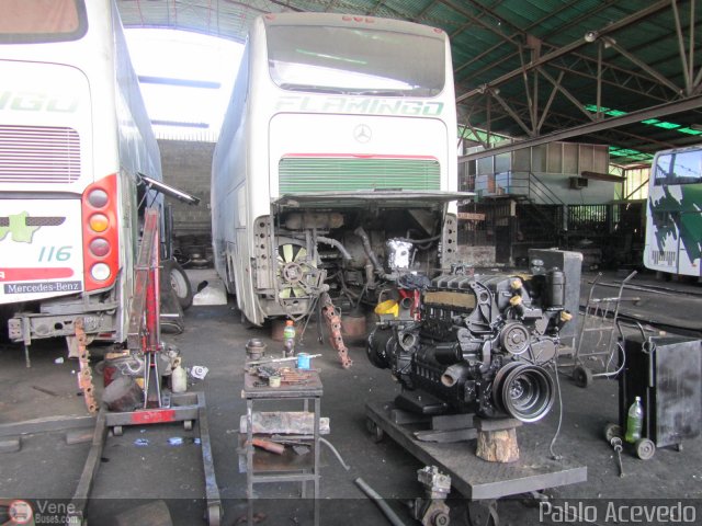 Expresos Flamingo 0100 por Pablo Acevedo