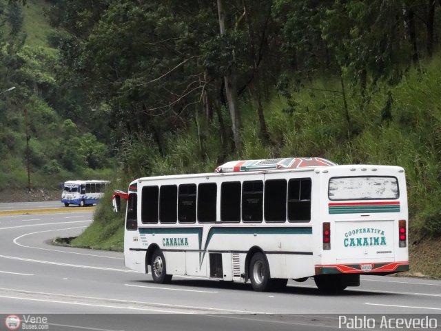 Cooperativa Canaima 46 por Pablo Acevedo