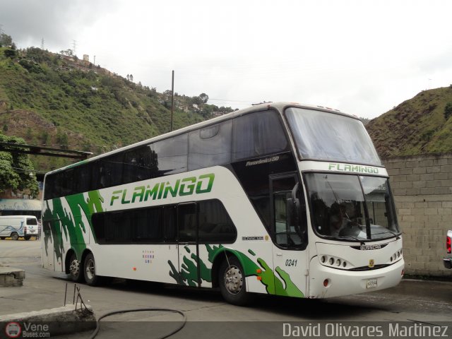 Expresos Flamingo 0241 por David Olivares Martinez