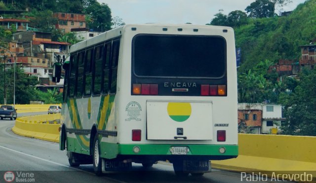 U.C. Los Caminantes 37 por Pablo Acevedo