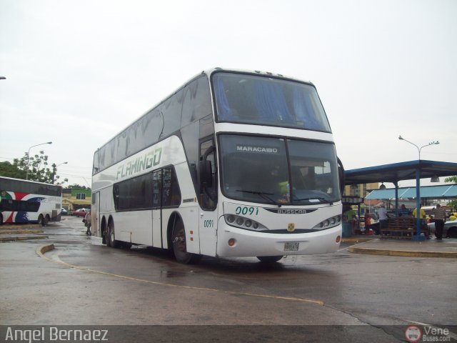 Expresos Flamingo 0091 por �ngel Bernaez