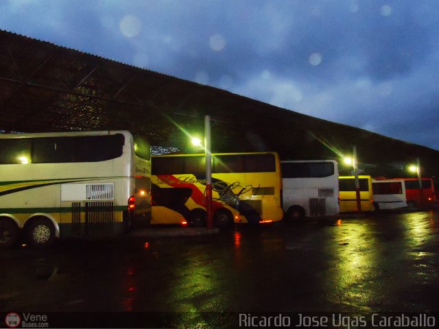 Garajes Paradas y Terminales Carupano por Ricardo Ugas