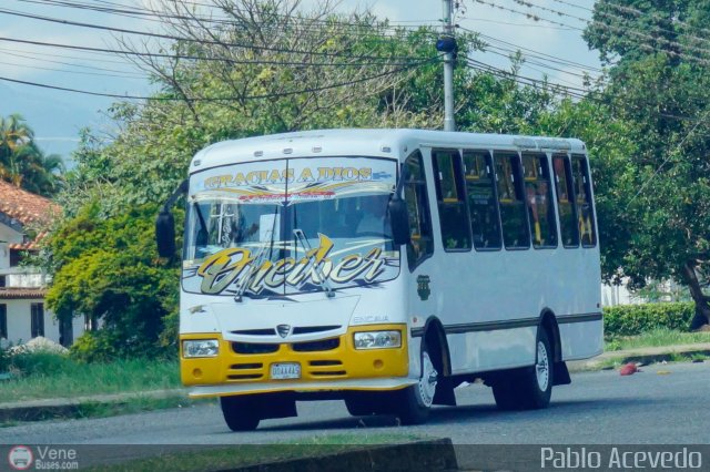 Asociaci�n Cooperativa R.S. Ezequiel Zamora 08 por Pablo Acevedo