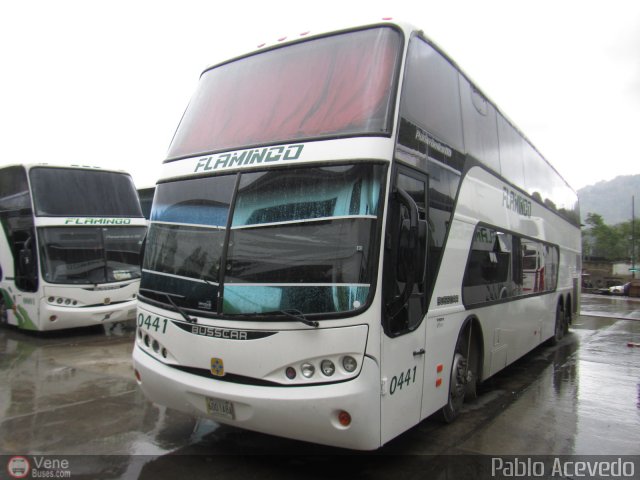Expresos Flamingo 0441 por Pablo Acevedo