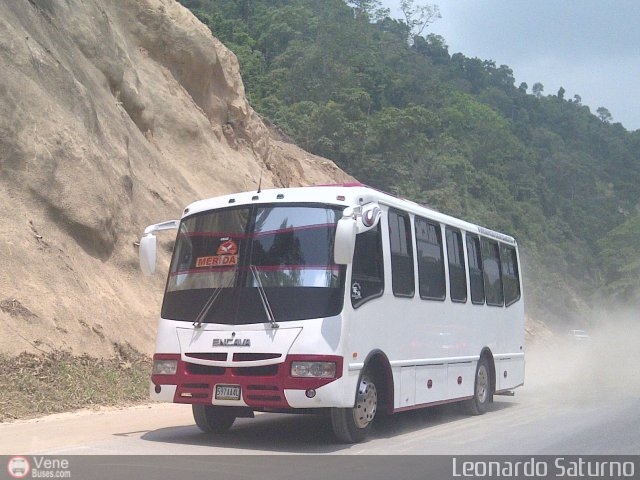Lnea Los Andes S.C. 089 por Leonardo Saturno