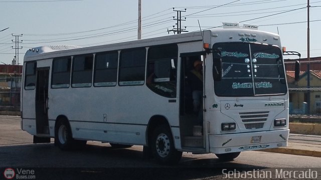 Colectivos La Rosita 08 por Sebastin Mercado