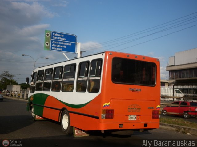 A.C. de Transporte Sol de Tamanaco 17 por Aly Baranauskas