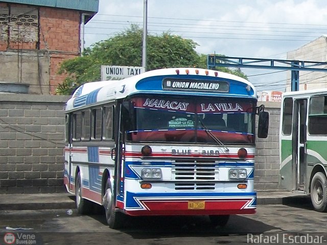 Unión Magdaleno A.C. 53 por Rafael Escobar