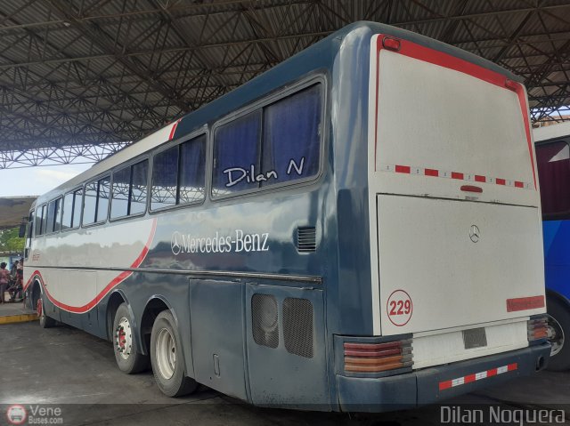 Autosirco 229 por Dilan Noguera