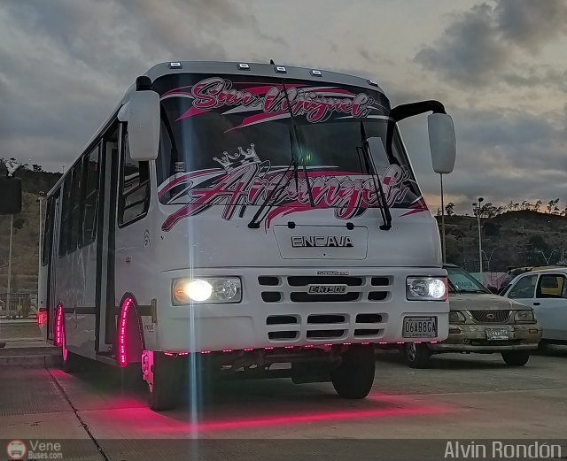 AR - Rosa Mstica de Cagua C.A. 37 por Alvin Rondn