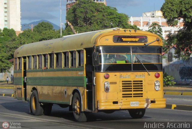 Transporte Palo Negro La Morita 2 020 por Andrs Ascanio