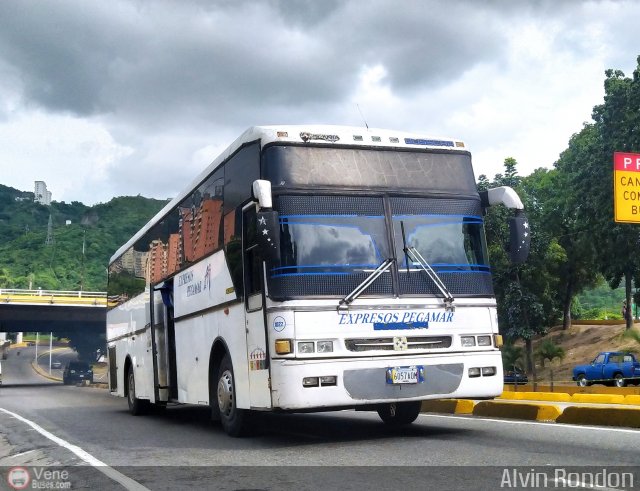 Expresos Pegamar 1022 por Alvin Rondn