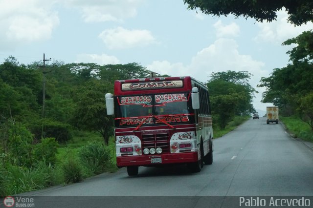 Transporte Colectivo Camag 11 por Pablo Acevedo