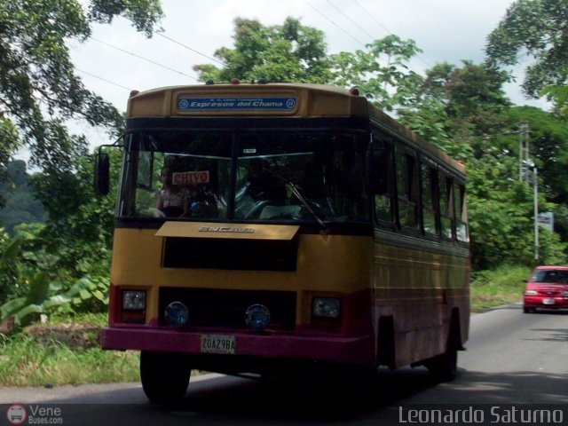 S.C. Lnea Transporte Expresos Del Chama 028 por Leonardo Saturno