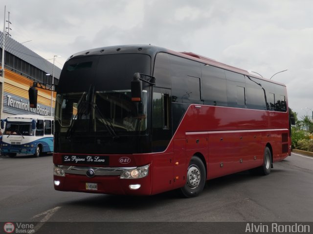 Los P�jaros de Lara 081 por Alvin Rond�n