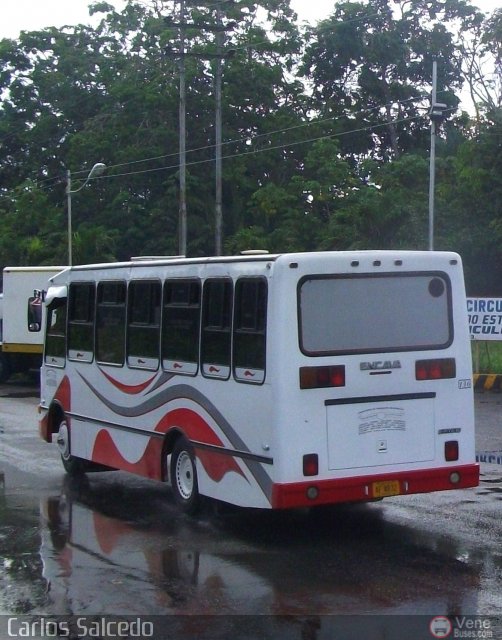 A.C. de Transporte Encarnaci�n 136 por Carlos Salcedo