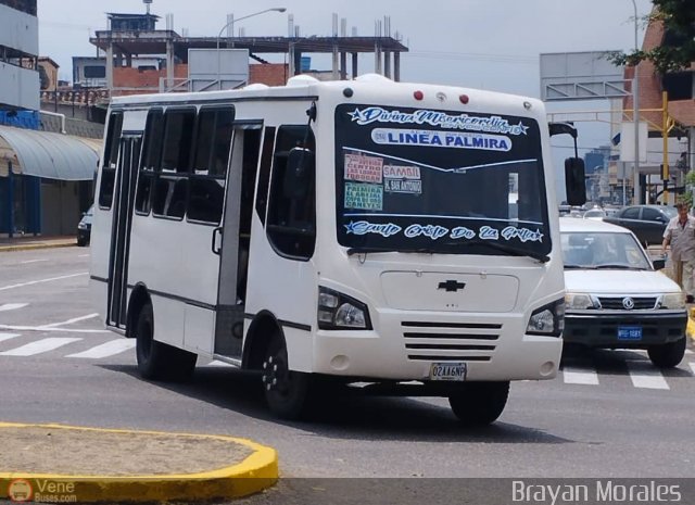 TA - A.C. Autos por puesto Lnea Palmira 050 por Jerson Nova