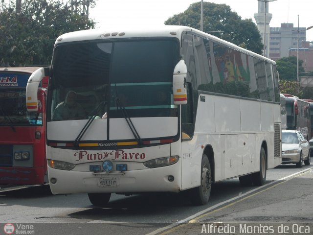 Particular 24 por Alfredo Montes de Oca