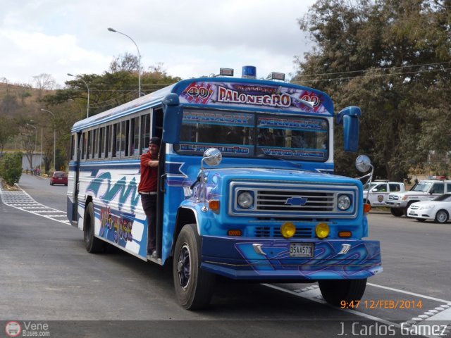 Transporte Colectivo Palo Negro 40 por Alvin Rondn