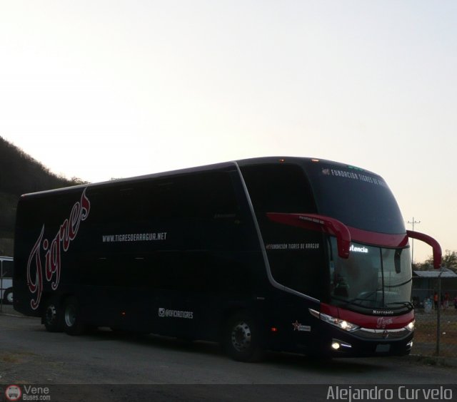 Tigres de Aragua B.B.C. 01 por Alejandro Curvelo