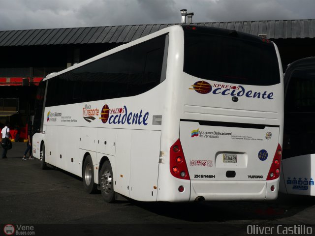 Expresos Occidente 411 por Oliver Castillo