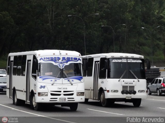 A.C. Indepasib 036 por Pablo Acevedo