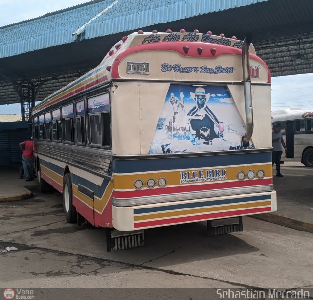 Colectivo San Rafael 01 por Sebastin Mercado