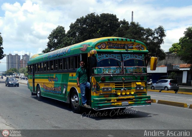 Transporte Palo Negro La Morita 2 011 por Andrs Ascanio