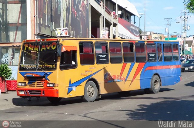 Transporte 1ero de Mayo 001 por Waldir Mata