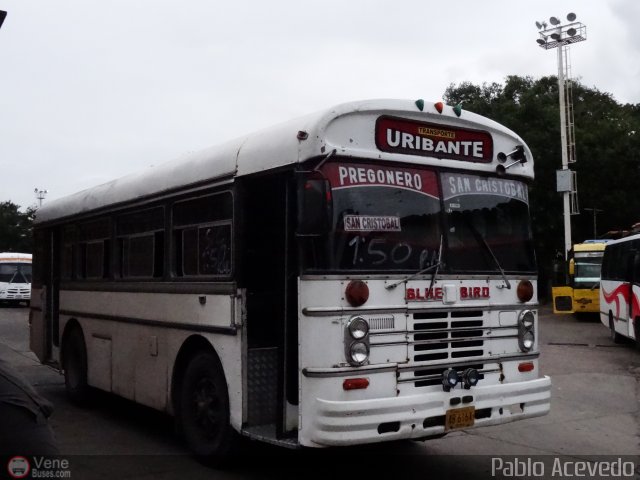 Transporte Uribante 90 por Pablo Acevedo