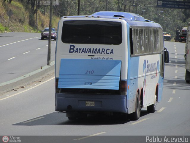 Expresos Bayavamarca 210 por Pablo Acevedo