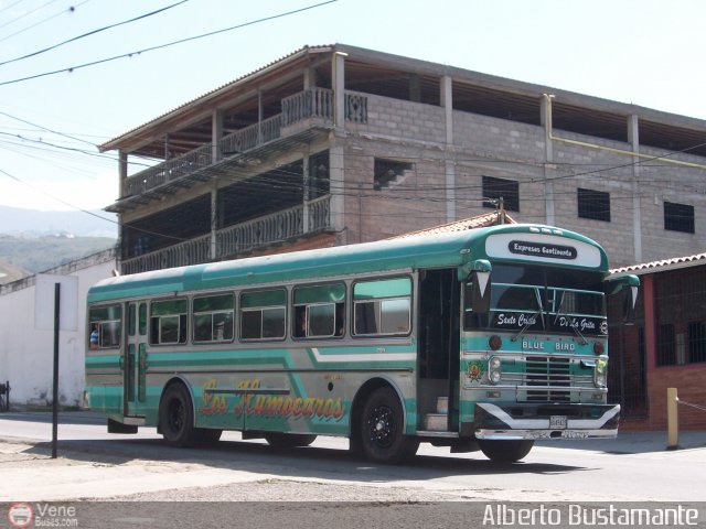 Expresos Continente C-36 por Alberto Bustamante