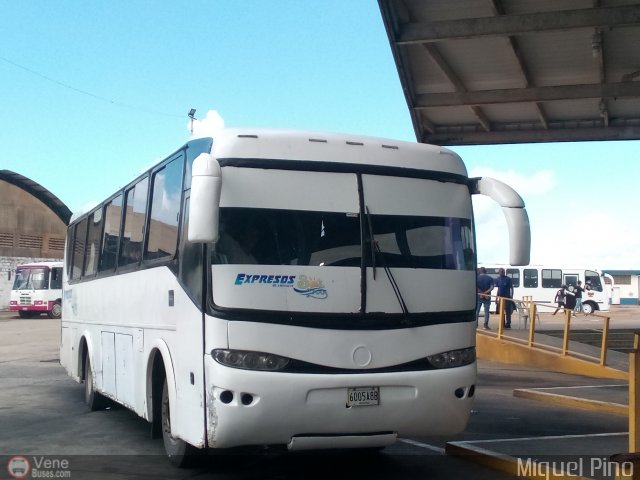 Expresos Sol y Mar 046 por Miguel Pino