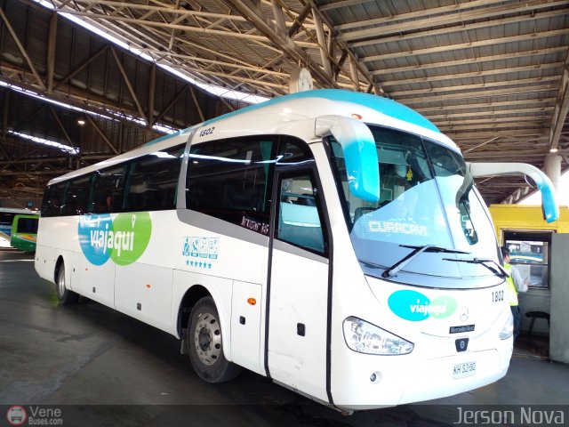 Viajaquibus 1802 por Jerson Nova