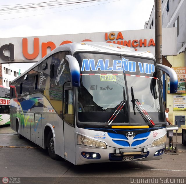 E.T. Maleo VIP 951. por Leonardo Saturno