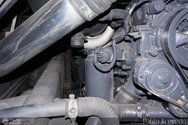 Expresos Occidente Gua 2019 5 por Pablo Acevedo