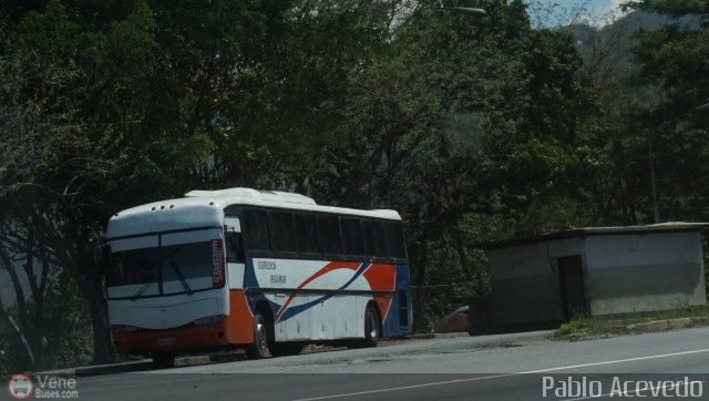 Expresos Pegamar 1037 por Pablo Acevedo